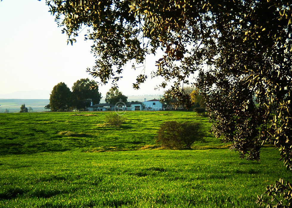 Vistas de la finca